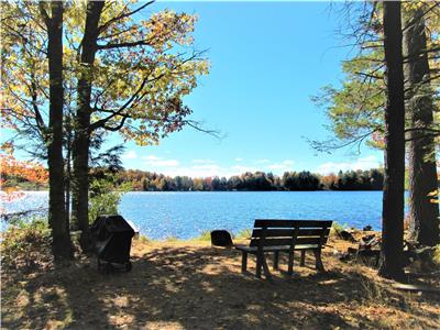 OCR - Hawksfield Cottage (F368) on Black Lake near Bala, Muskoka, Ontario