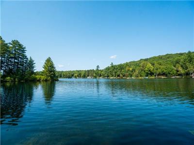 OCR - Bearwoode Lodge (F319) on Grandview Lake, Lake of Bays, Muskoka, Algonquin Park, Ontario