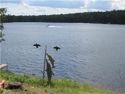 OCR - Pixi Land Cottage (F218) on Lake Waseosa in Muskoka, Algonquin Park, Ontario