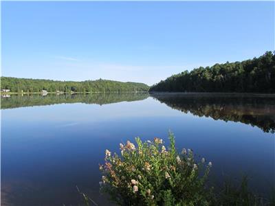 OCR - Ooolong's Lake Retreat (F312) on Longs Lake in Muskoka, Ontario