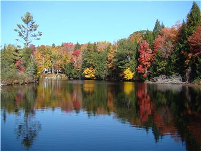 Cottage in Bracebridge with 1400 ft on Muskoka River