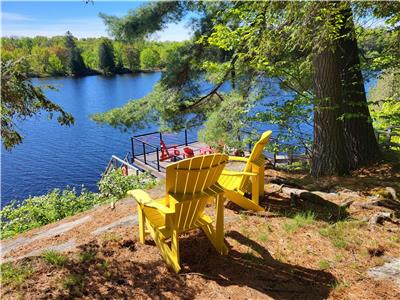 Amazing Waterfront  cottage, lots of privacy, sleeps 10, canoes and paddleboats