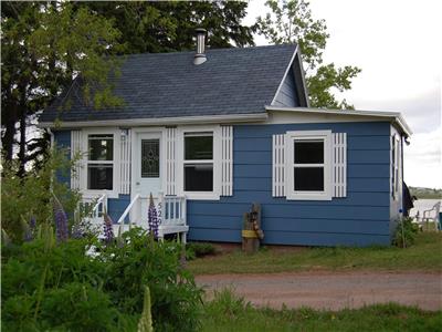 529 Bridgeview Lane - Waterfront, Ocean, Large Yard, Private, Sleeps 7, Bunkhouse, Many amenities