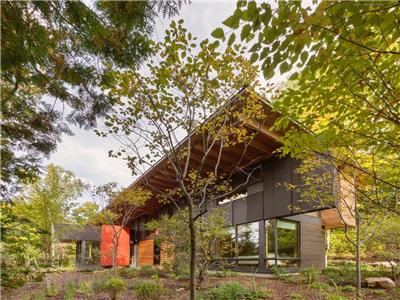 The Bear Stand: award-winning lakeside cabin on 99 acres w/private hiking trails, softub+sauna, wifi