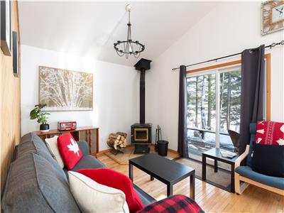 Waterfront Getaway w/ 2 Kayaks, Canoe, Pedal Boat, Algonquin Park Pass