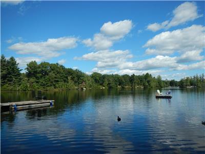 Whitetail Hollow Cabin -  cottage with sandy beach on quiet lake.