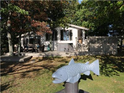 Little Downie Island Cottage, Private Island, 1000 Islands