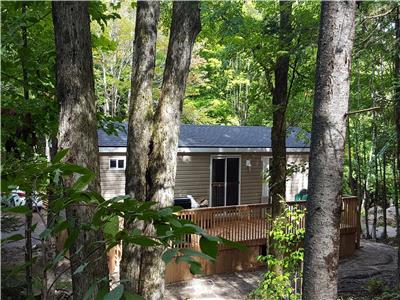 Bracebridge Muskoka Georgian Bay Ontario Cottage Rentals