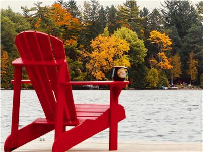 Paradise Lakefront Cottage on Lake St. George 3 bedroom sandy beach in Washago / Muskoka