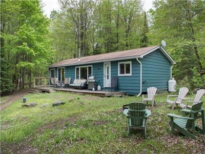 Vista Lake - Affordable Pet-Friendly Cottage w/ Sand Beach, Swim Platform, Wi-Fi, Fire Pit