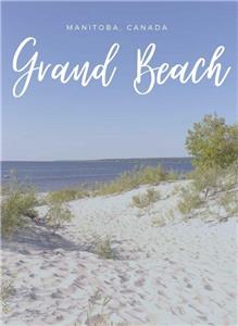 GRAND BEACH awesomeness STEPS to the beach!