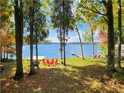 FALL IS BEAUTIFUL AT THE MAPELOT COTTAGE in BUCKHORN! WOOD BURNING SAUNA,  COLD PLUNGE,  CAMPFIRES!