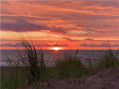Port Franks Cottage - Vintage Cottage feel, great beach view and great location, steps from beach
