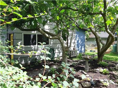 Otter Cottage on Gabriola Island