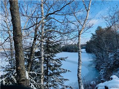 Graphite Bay Cottage *Spring Special* until May 31 2025