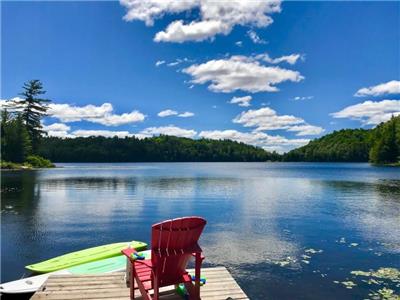 A Northern Soul - Stunning Haliburton Cottage w/ Dock, Watercraft & Games Room