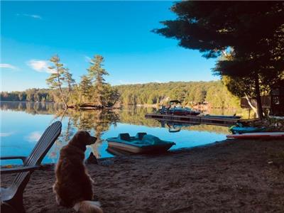 Haliburton Lake Retreat