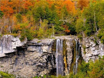 Backyard Retreat, Bruce Trail, Lake Eugenia, and Eugenia Falls