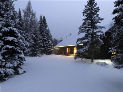 Custom built waterfront cottage on Lake Rosseau *Booking Winter & Summer 2023*
