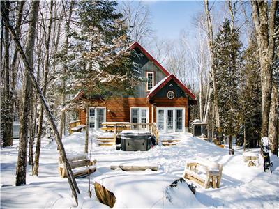 Dingle Run Lodge SKI IN/SKI OUT (hot tub & sauna)