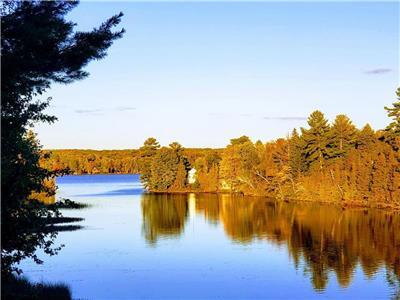 Family Staycation for 14 in Lux Lakehouse with 10 Acres of Private Woodland 90 mins from Toronto