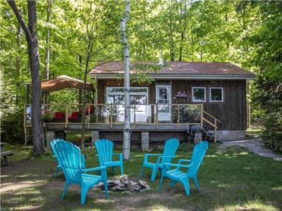 Birches by the Beach - Pet-Friendly Cottage in Bancroft w/ Sand Beach, Watercraft and More!