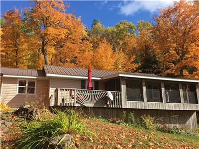 Edge of Algonquin - Moose Cottage- Your Cozy Lakefront Hideaway!