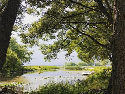 NOW BOOKING! Prince Edward County Waterfront Cottage Near Sandbanks Beach with beach pass and kayaks