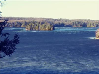 Classic Cedar Cottage with stunning views of Big Crosby Lake north of Historic Village of Westport.