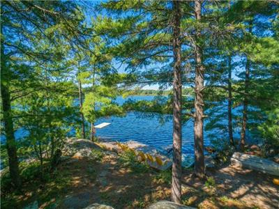 OCR - Ray of Sunshine F528, Reay Lake, Gravenhurst, Muskoka, Ontario