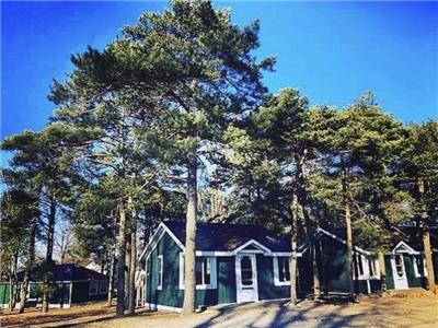 LongPointLodge cottages/main 3bedroom cottage/2 adorable 1 bedroom cabins/Sun porch/RecHall pingPong