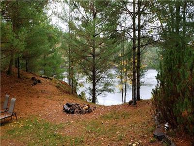 New Listing ! $400/night  WATERFRONT COTTAGE IN MUSKOKA   2 HRS FROM TORONTO