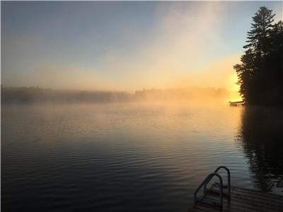 Cottage on private point with over 500 feet of clean waterfront