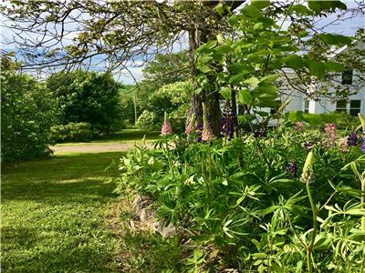 Gaspereau Valley Farmhouse