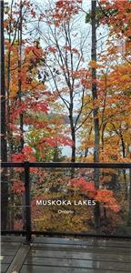 Timber Rock Cottage - Autumn Colours in Muskoka.  Fall Dates Available
