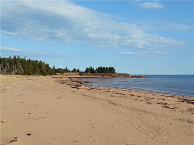 Beachside Haven --Starfish Cottage