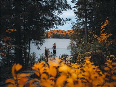 H2H Cottage Bitter Lake: Cozy and Stylish Waterfront Haliburton Rental Cottage - Couples or Family