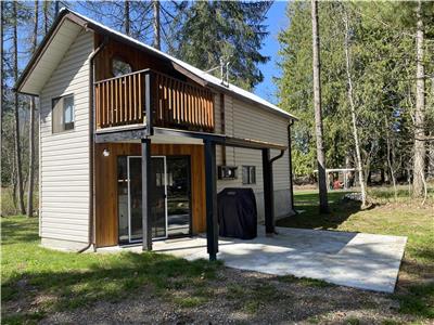 Kootenay Lake Front Pet Friendly Cottage, sleeps 4, with Dock, Air Conditioned