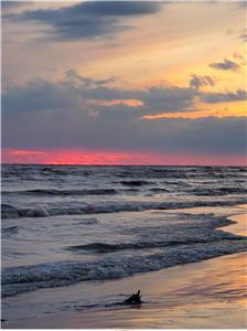 Long Point, Ont. Sunny Daze cottage - channel access, private beach area