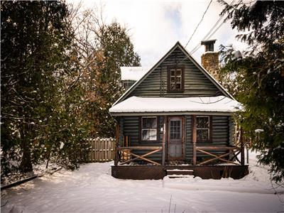 Authentic cozy log cabin