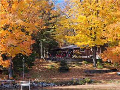 Jogi's Den - Four Season Waterfront, nestled between Haliburton & Bancroft!