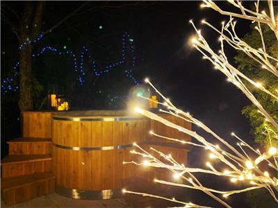 The Lakeshore Oasis - A Beautiful All Season Cottage in Muskoka with sandy beach and sunset views!