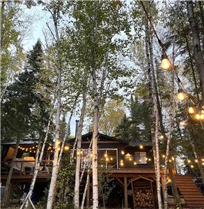 Wild Birch Bungalow- Cozy Boutique Waterfront Cottage Experience