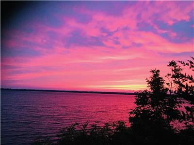 Enjoy the Lilacs in Prince Edward County