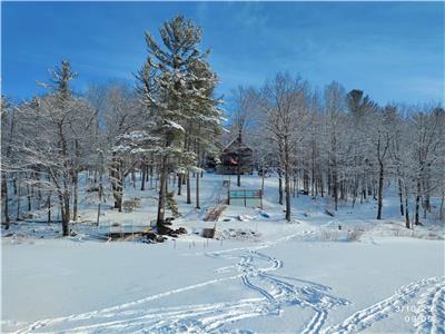 Ruth's Waterfront cottage near Pembroke