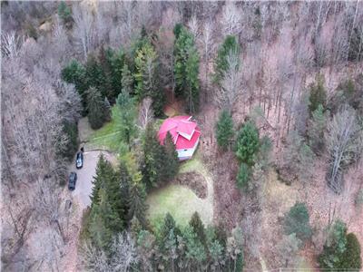 Stunning all season Cottage surrounded by nature!