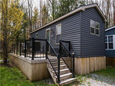 Resort Cottage Backing on Muskoka Forest | Own Today at Shamrock Bay!