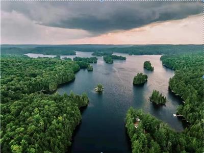 Ashby Lake Waterfront Cottage: Clear Water,Crownland Around,Starlink,Firepit,BBQ,Kayak,Great Fishing