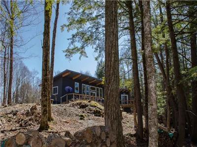 Crow's Head - 2Br + Bunkie Waterfront Cottage in Haliburton w/ Wi-Fi, Dock, Swimming & Watercraft
