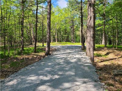 Wooded Estate Lots in Chaffeys Lock on the Rideau Waterway